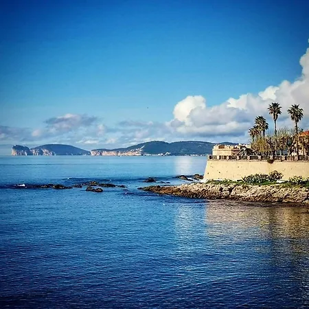 Fralucia 阿尔盖罗