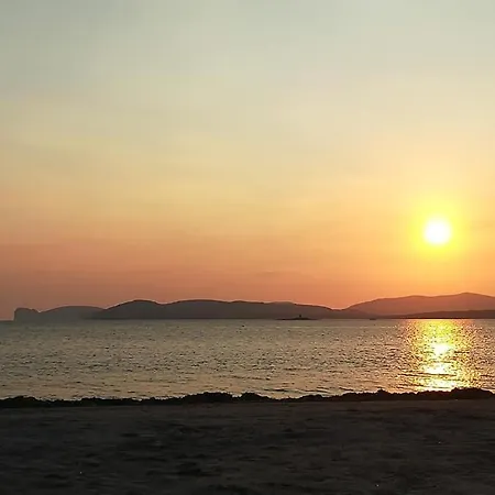 Fralucia 2* 알게로