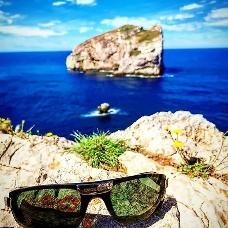 Fralucia 阿尔盖罗